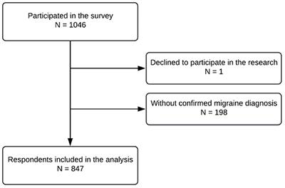 Evolving migraine management: Lithuania's telemedicine experience